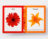 Rainbows In Bloom: Discovering Colors With Flowers