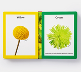 Rainbows In Bloom: Discovering Colors With Flowers