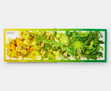 Rainbows In Bloom: Discovering Colors With Flowers