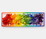 Rainbows In Bloom: Discovering Colors With Flowers